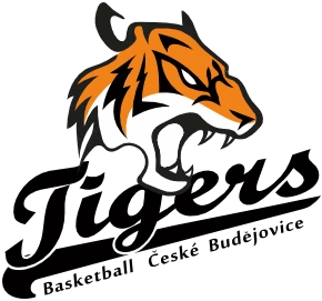 TIGERS basketball České Budějovice